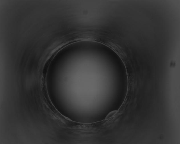 X0000093100338200710031503