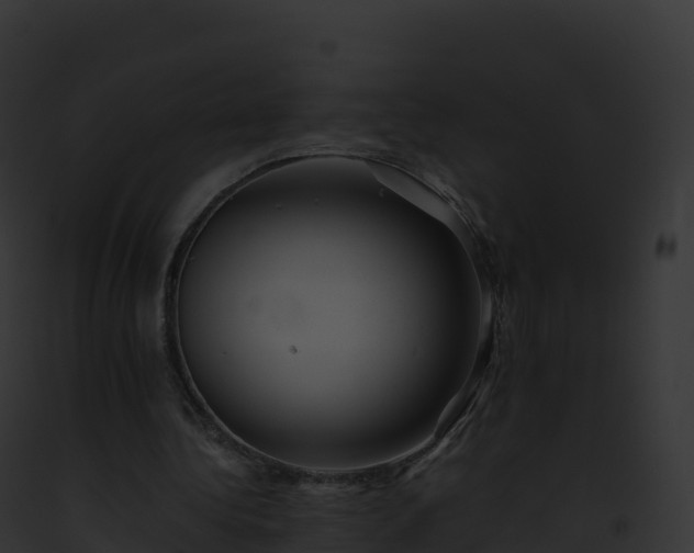 X0000093100340200710031503