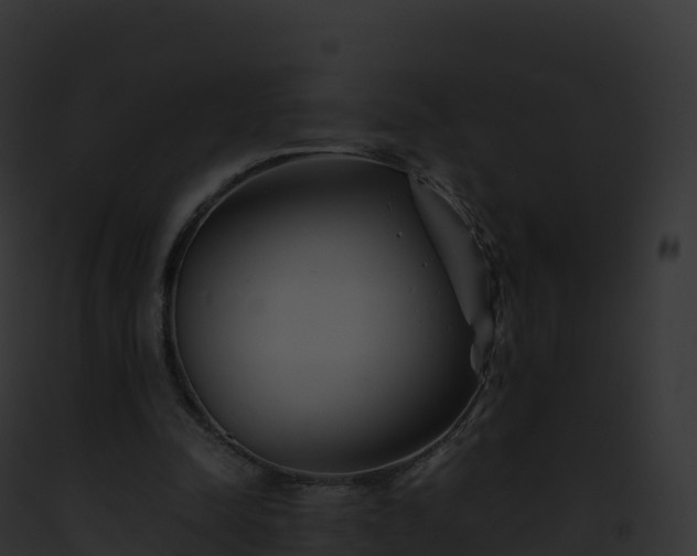 X0000093100342200710031503