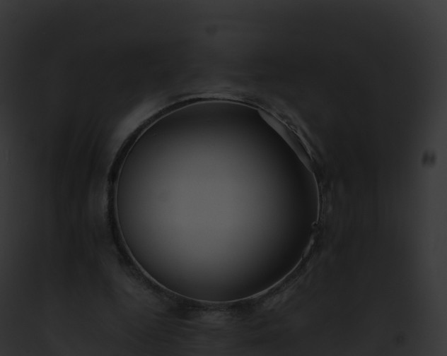 X0000093100344200710031503