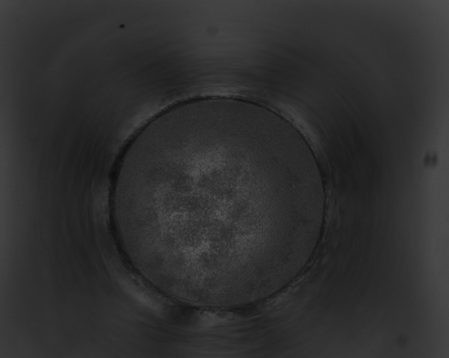 X0000093100346200710031503