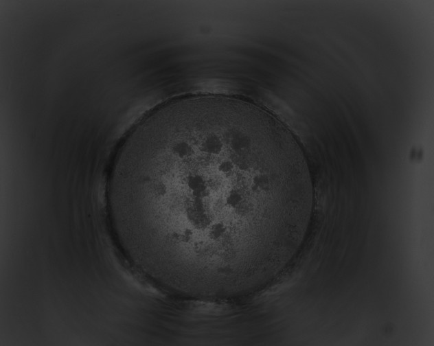 X0000093100347200710031503