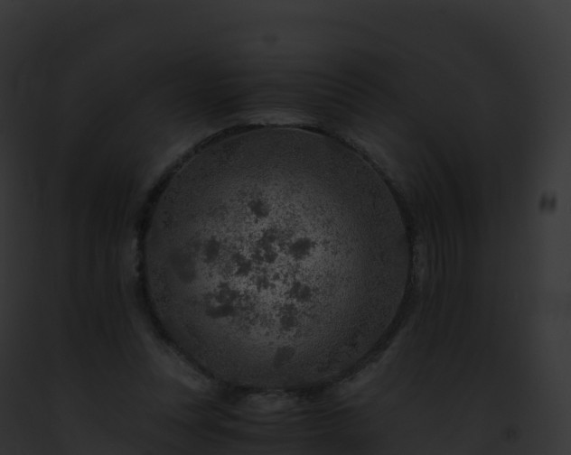 X0000093100351200710031503
