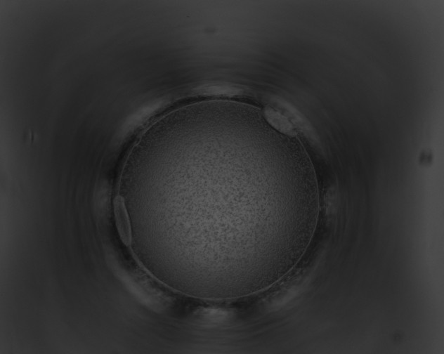 X0000093100352200710031503
