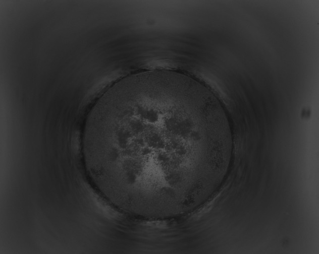 X0000093100353200710031503