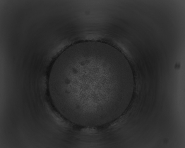 X0000093100354200710031503