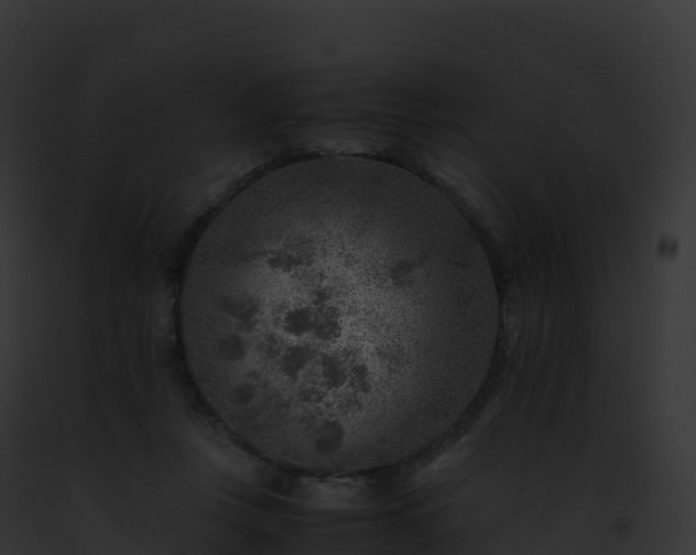 X0000093100359200710031504