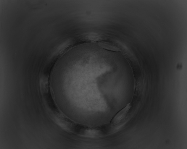X0000093100360200710031504