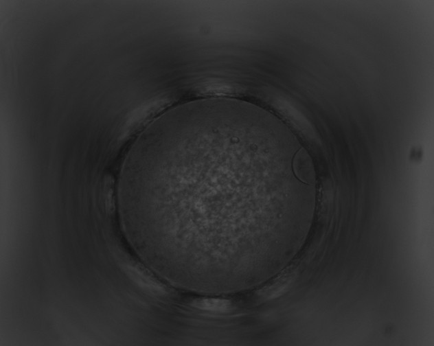 X0000093100361200710031504