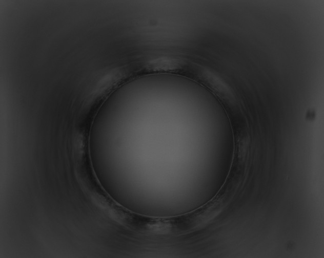 X0000093100362200710031504