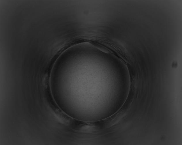 X0000093100364200710031504