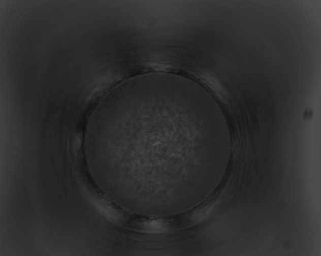 X0000093100365200710031504