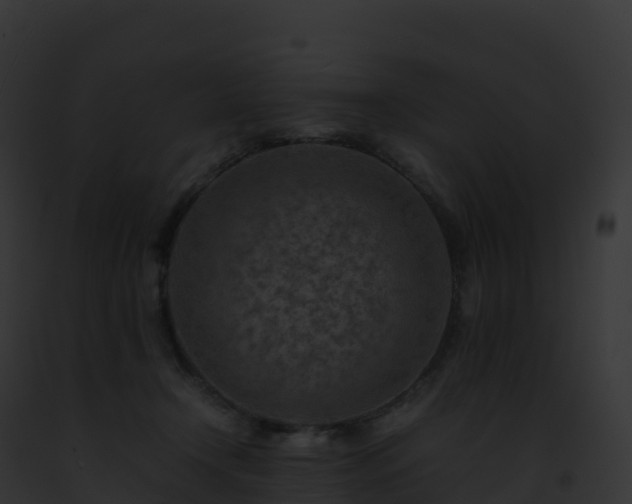 X0000093100366200710031504