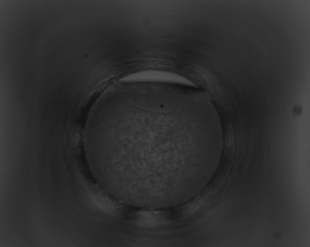 X0000093100367200710031504