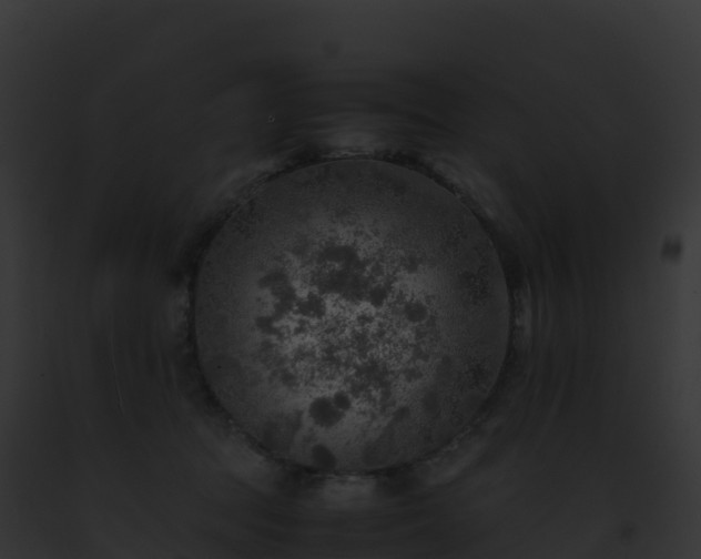 X0000093100369200710031504