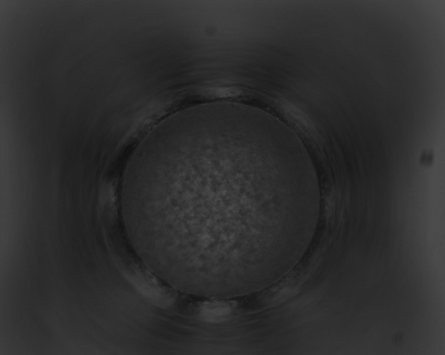 X0000093100373200710031504