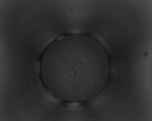 X0000093100374200710031504
