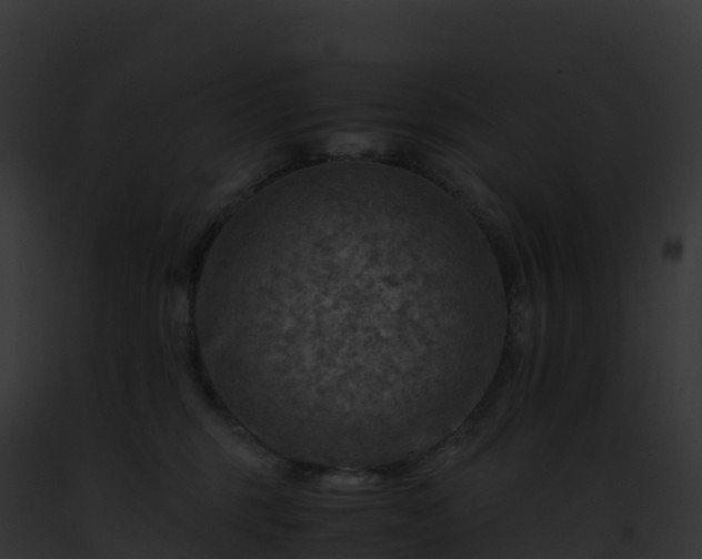 X0000093100375200710031504