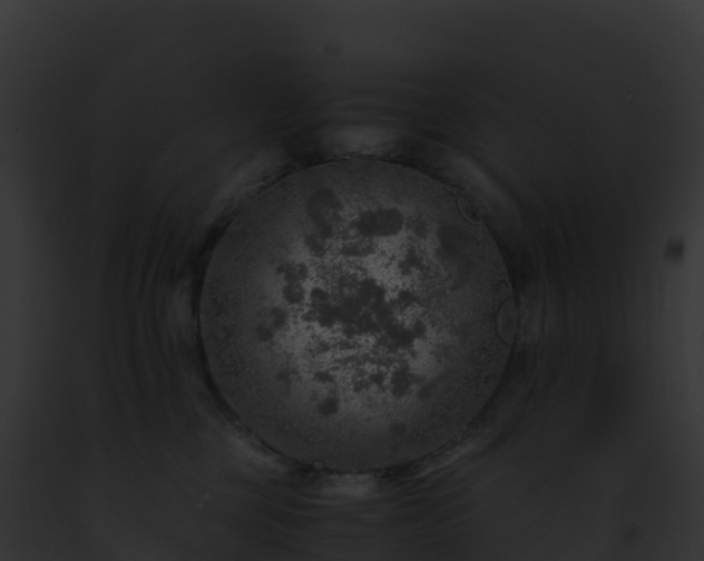 X0000093100377200710031504