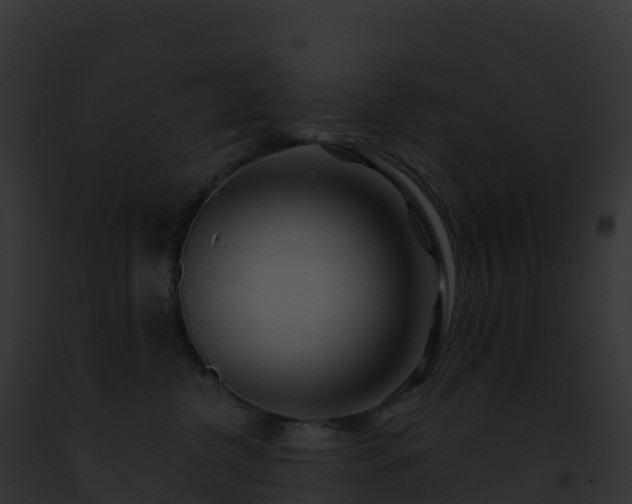 X0000093100380200710031504