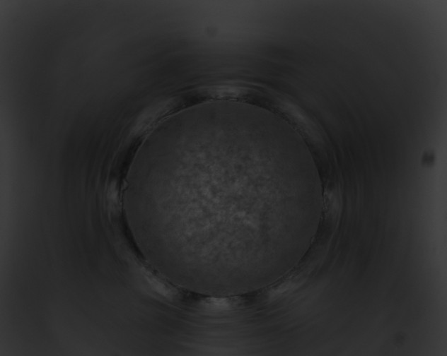 X0000093100381200710031504