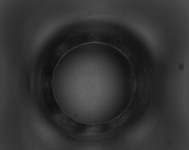 X0000093100382200710031504