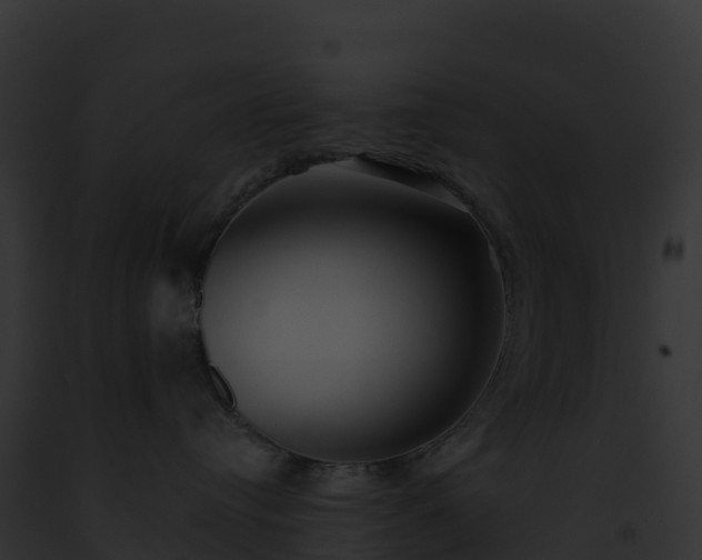 X0000093100384200710031504
