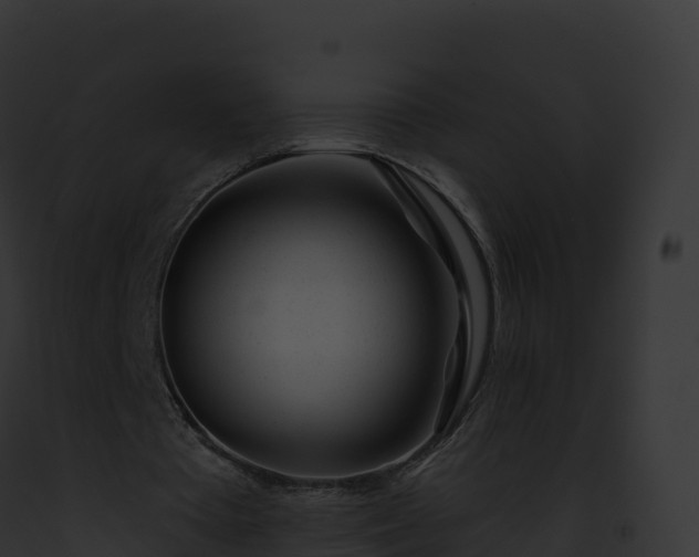 X0000093100385200710031503