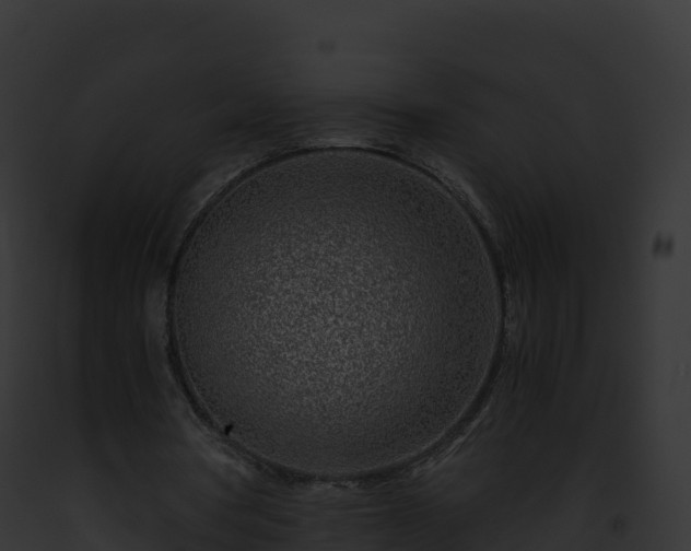 X0000093100386200710031503