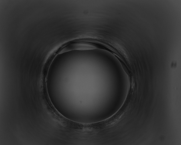 X0000093100388200710031503