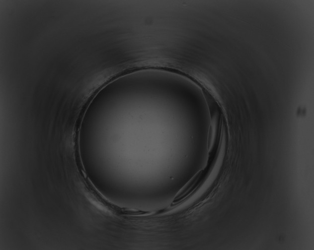 X0000093100389200710031503