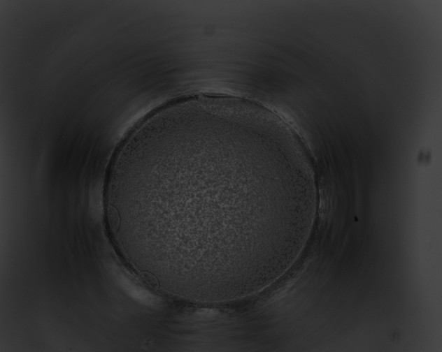 X0000093100390200710031503