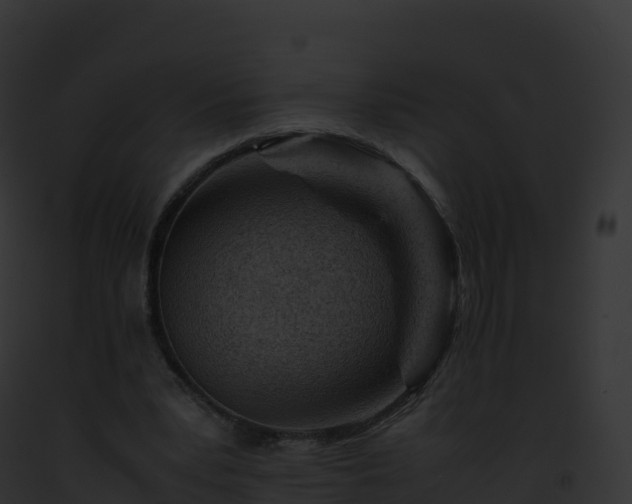 X0000093100391200710031503