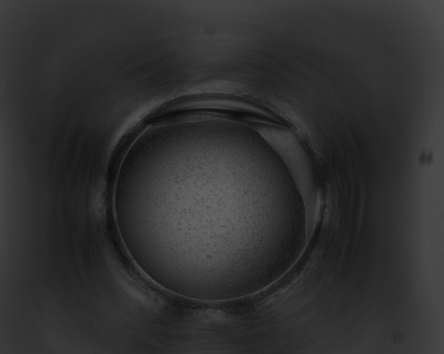 X0000093100392200710031503