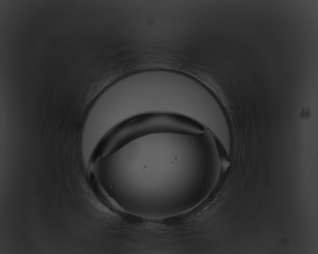 X0000093100393200710031503