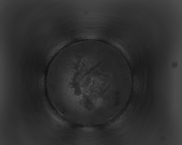 X0000093100394200710031503