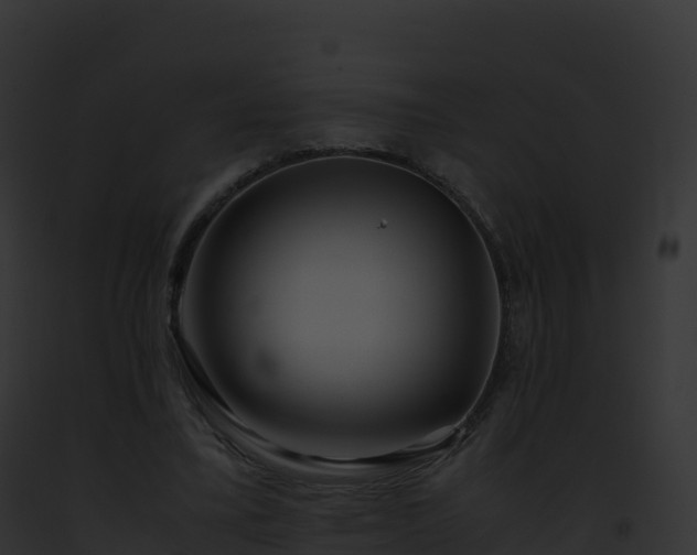 X0000093100395200710031503