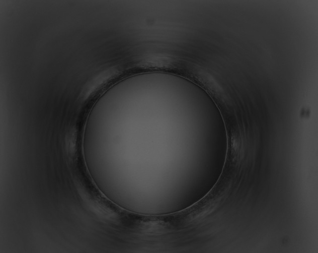 X0000093100396200710031503
