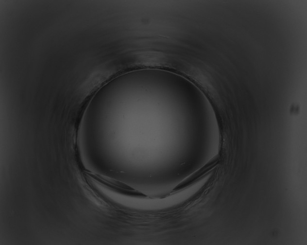 X0000093100397200710031503