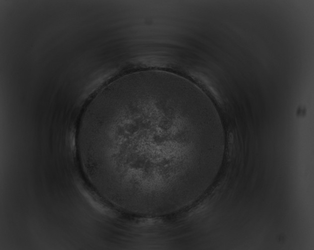 X0000093100398200710031503