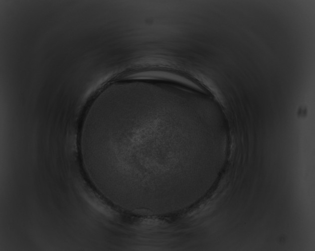 X0000093100399200710031503