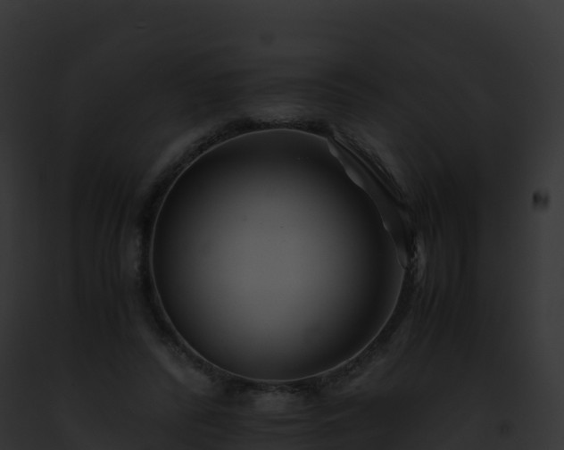 X0000093100400200710031503