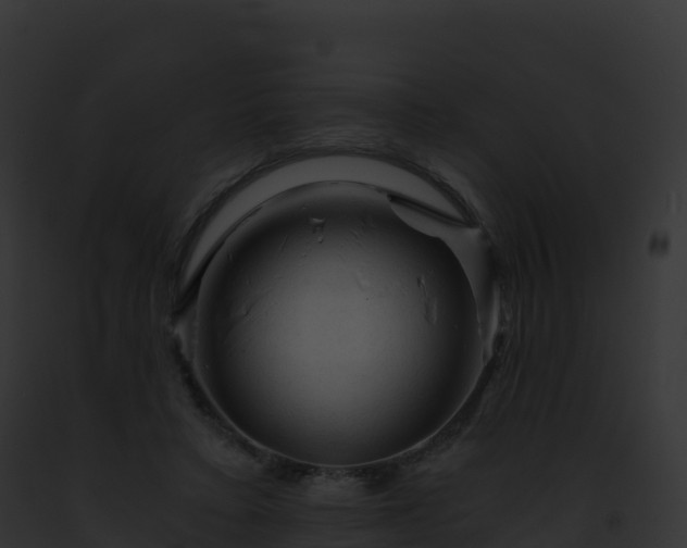 X0000093100403200710031503