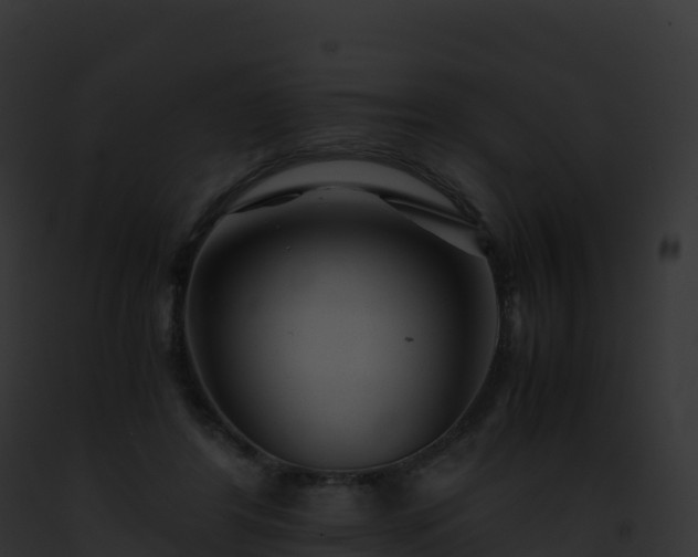 X0000093100404200710031503