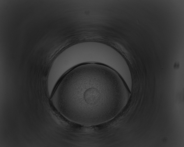 X0000093100405200710031503