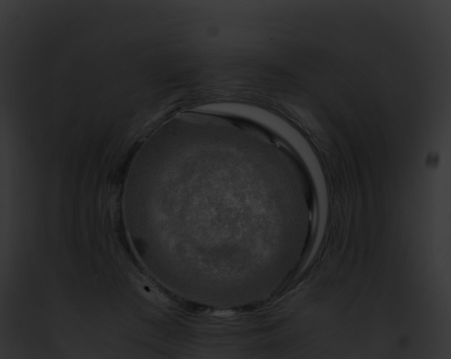 X0000093100409200710031503