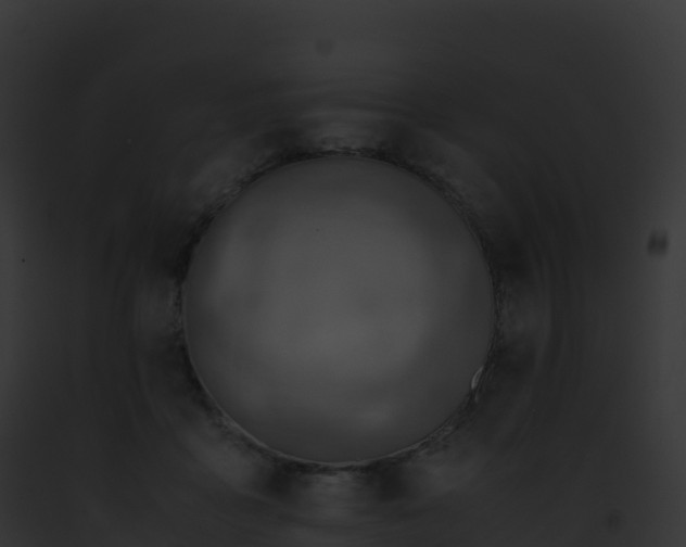 X0000093100411200710031503