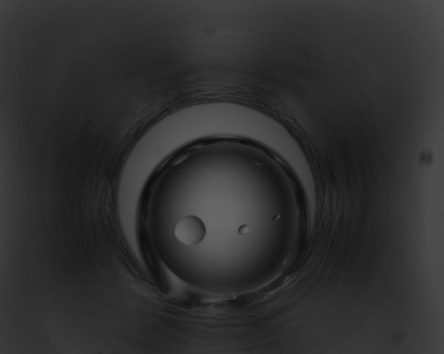 X0000093100412200710031503