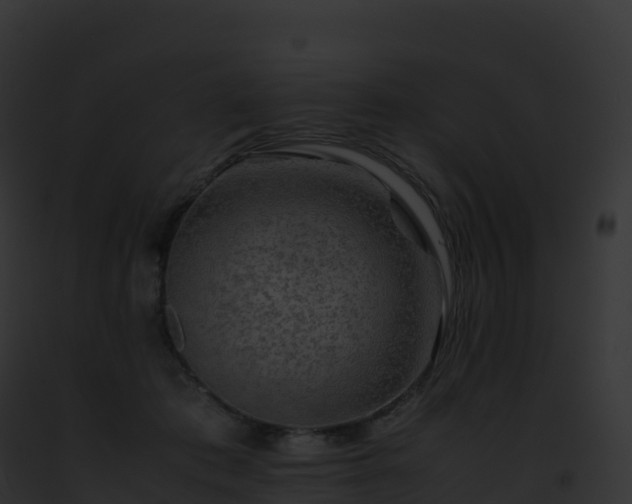 X0000093100413200710031503