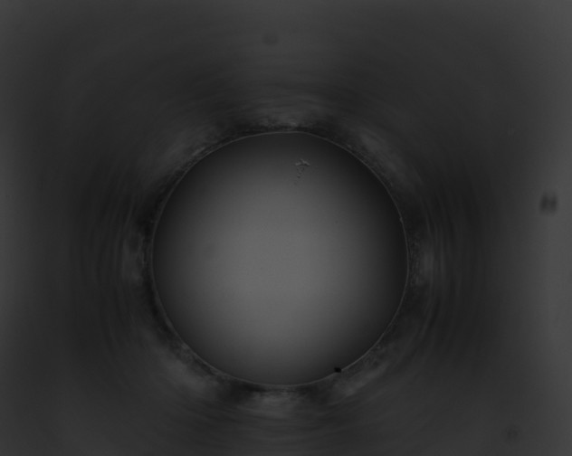 X0000093100414200710031503